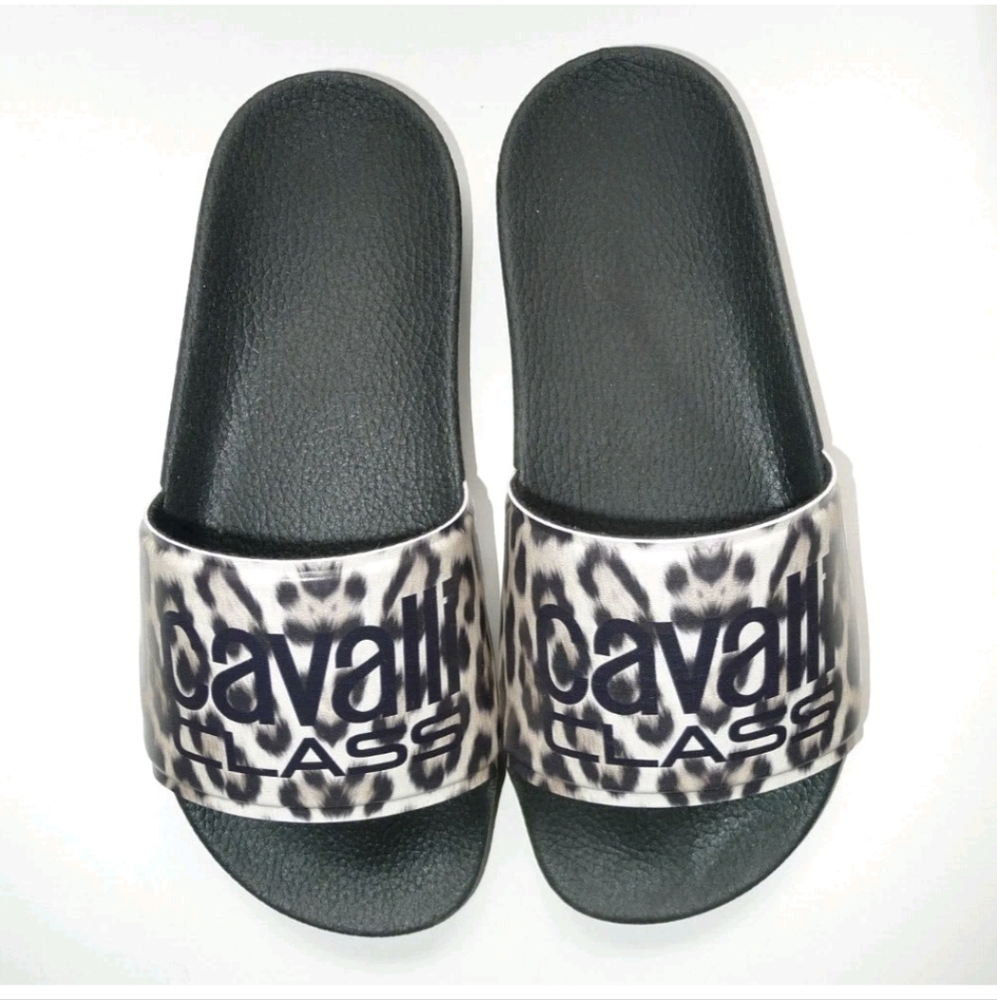 Cavalli Class slides